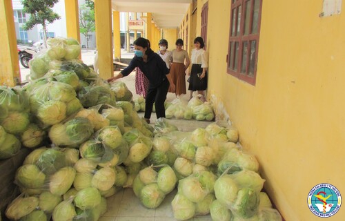 Trường Cao đẳng Y tế Thái Bình tiêu thụ nông sản cho nông dân bị ảnh hưởng bởi dịch Covid-19